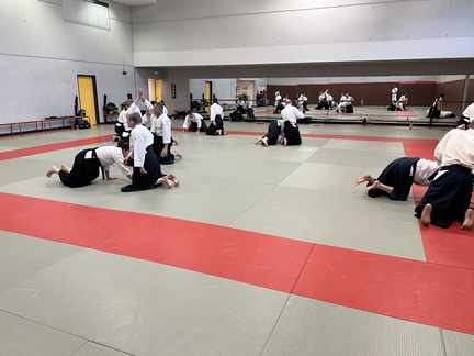 Preparations Grades 1-2eD Et 3-4eD 
